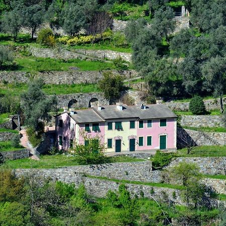 Villa Olivari - Apt La Lavanda Камольи Экстерьер фото