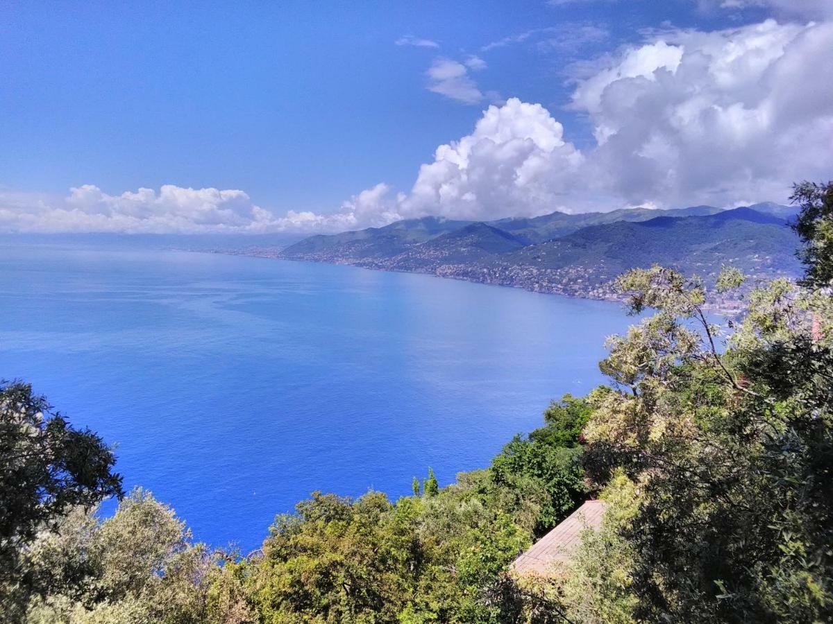 Villa Olivari - Apt La Lavanda Камольи Экстерьер фото